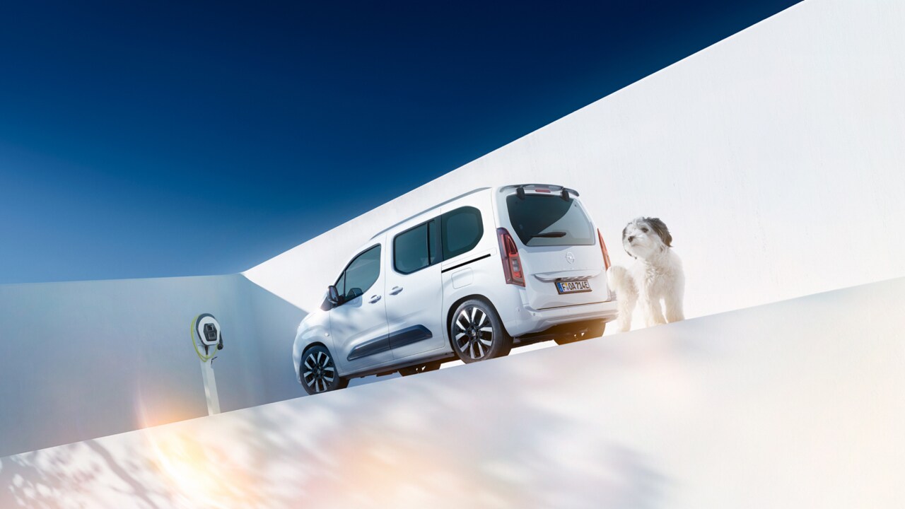 Achteraanzicht van een witte Opel Combo Electric en een hond naast de Wallbox oplader